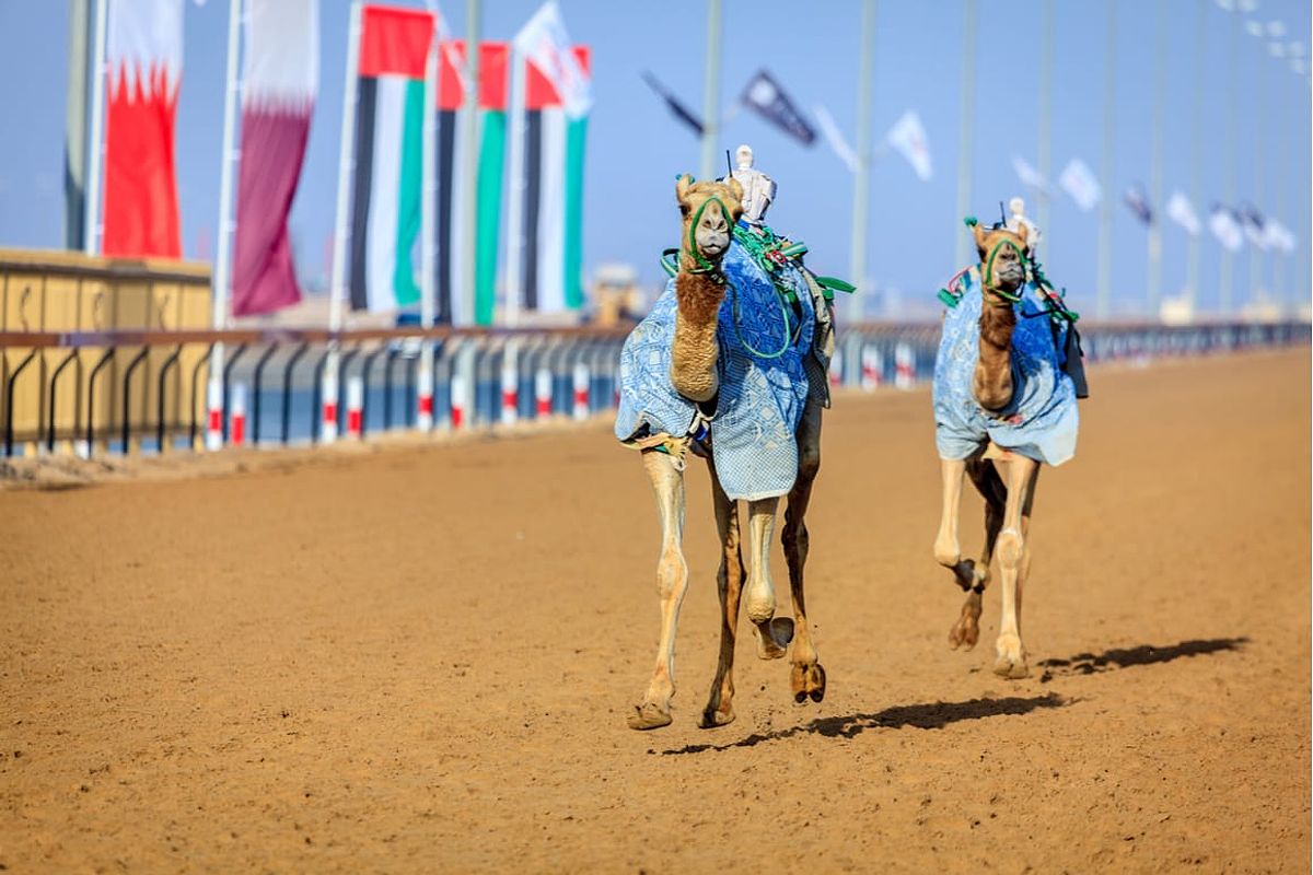 Al Marmoom Heritage Festival