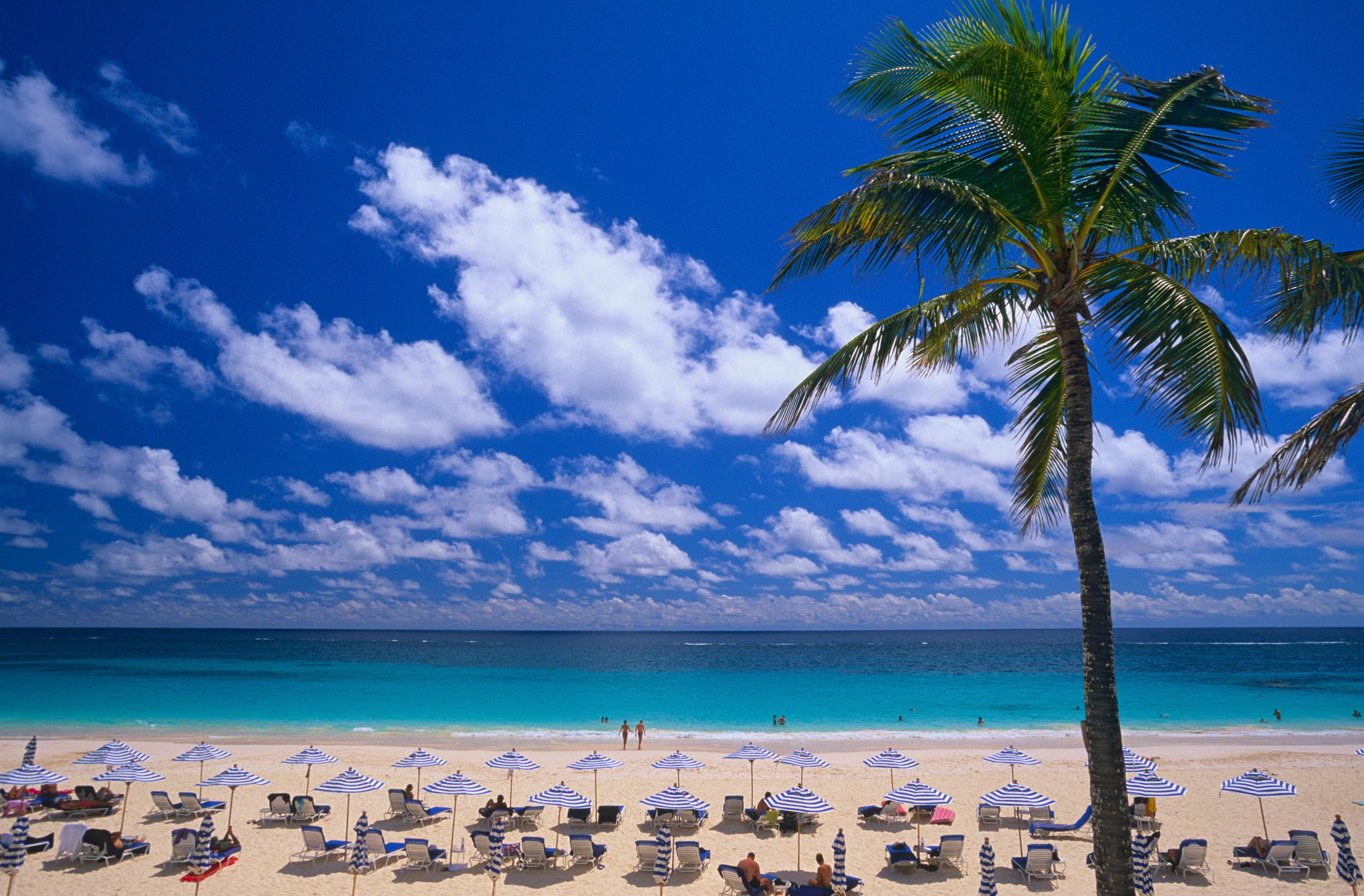 Beach loungers on Elbow Beach