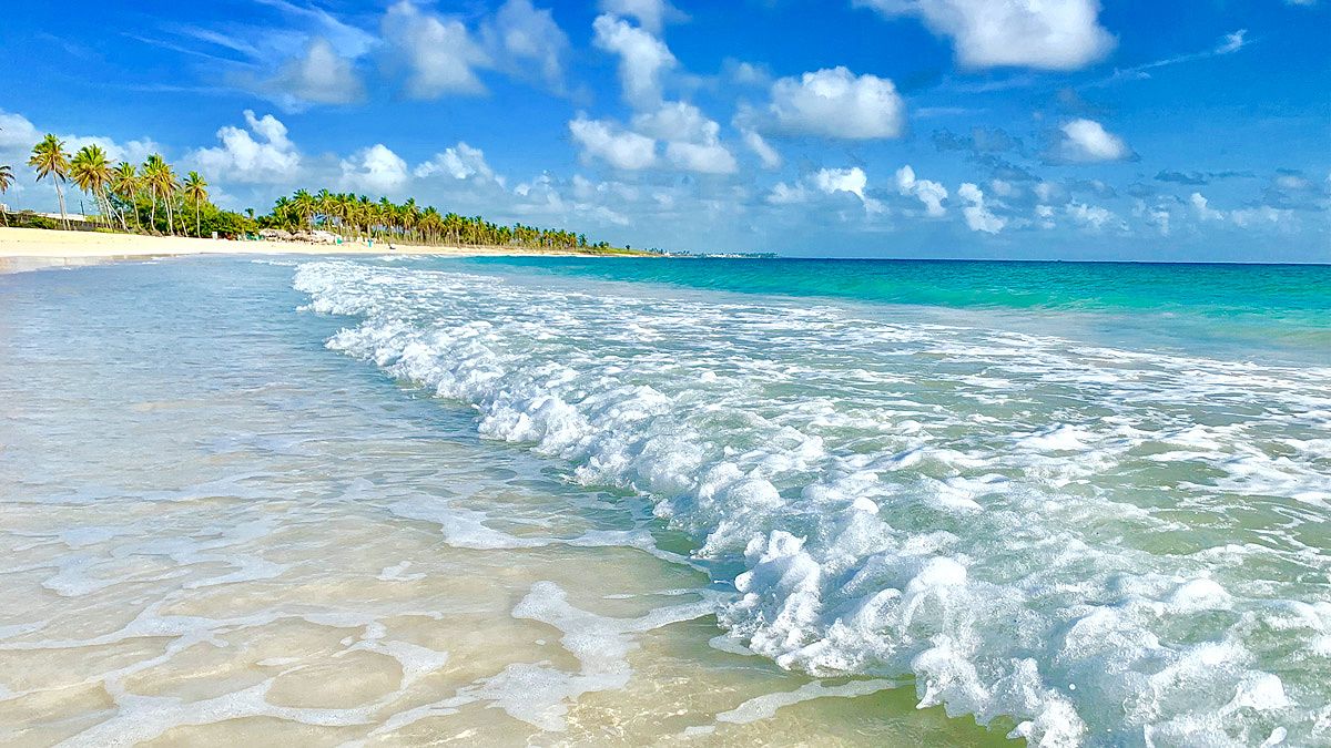 Best Time to Visit Punta Cana