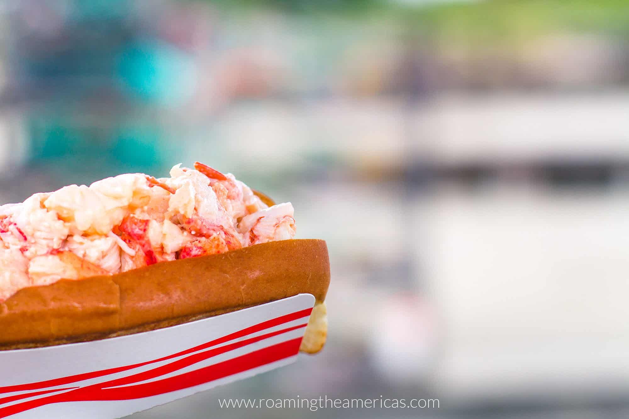 Lobster roll on a hot dog bun on the Maine coast