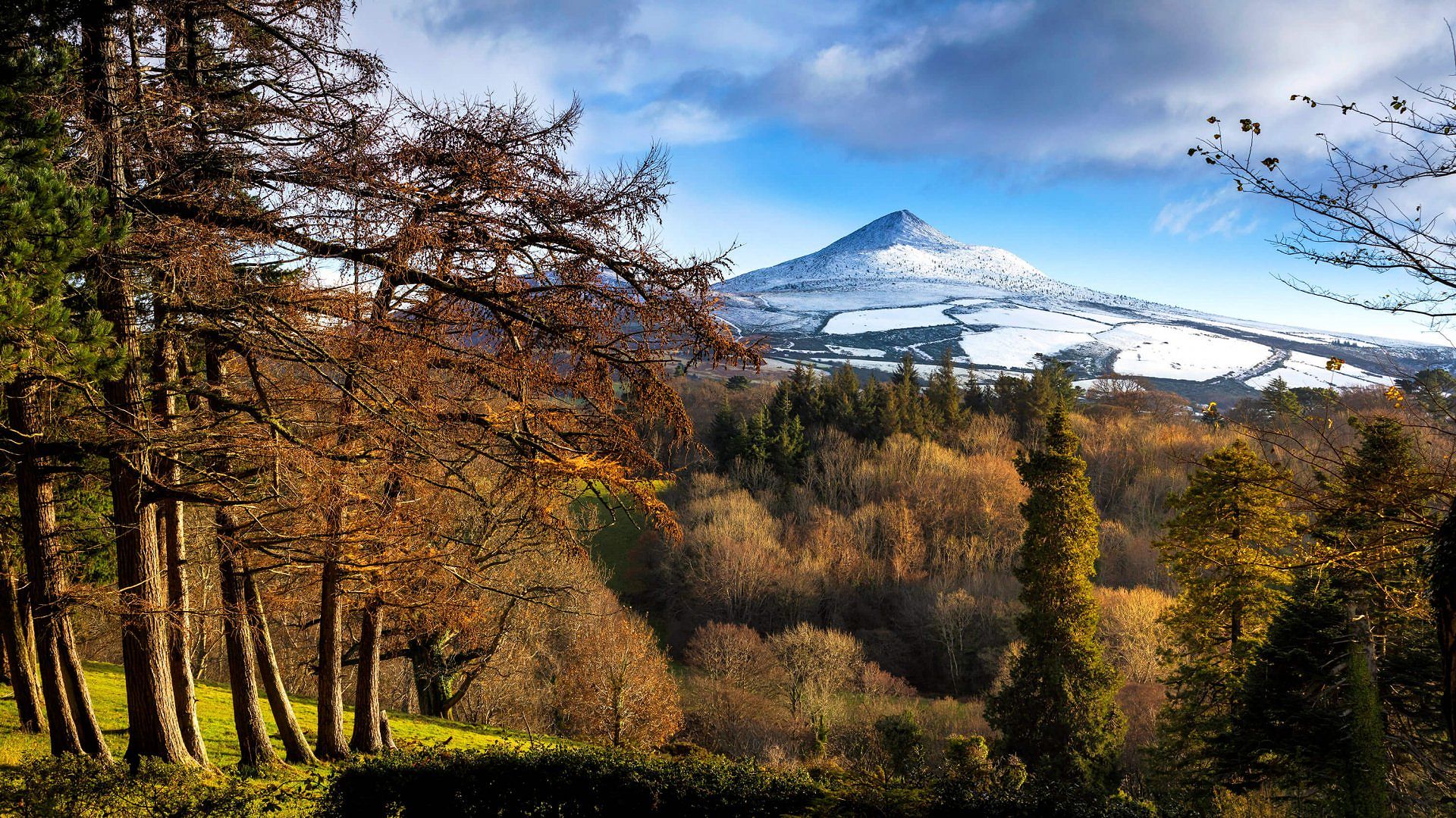 Wicklow mountains and woodlands in snow